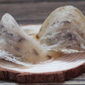 Tổ yến thô giúp cải thiện tiêu hóa